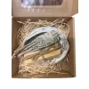 Zestaw prezentowy Palo Santo + Biała Szałwia + Muszla abalone