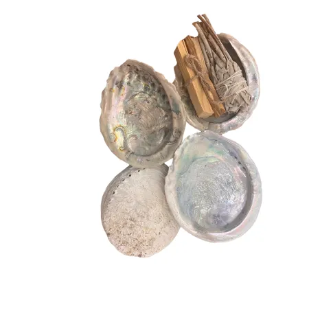 Zestaw prezentowy Palo Santo + Biała Szałwia + Muszla abalone