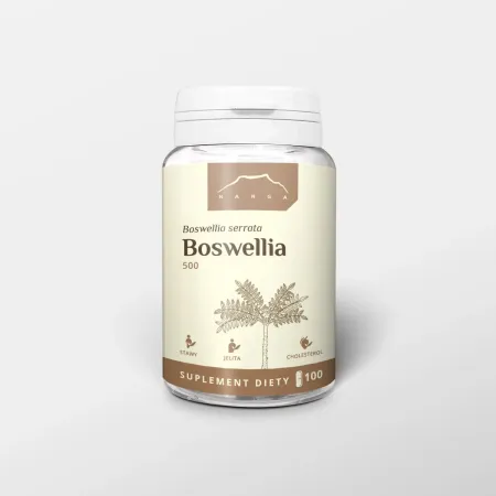 Boswellia serrata 500mg Nanga kapsułki 100 szt. Kadzidłowiec