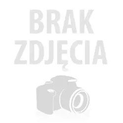Lampa solna himalajska USB 12cm surowa bryła
